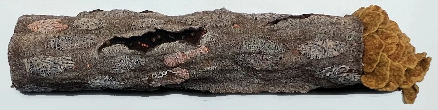 "Epiphytes 7" 2025, wool roving, gauze, cotton fabric, beads, acrylic tube (8 x 25 x 5”)