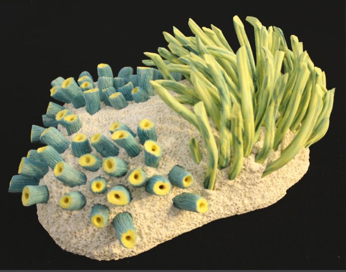 "Coral Reminders 4" 2020, clay, mason stains, matte underglazes (4 x 9 x 7")