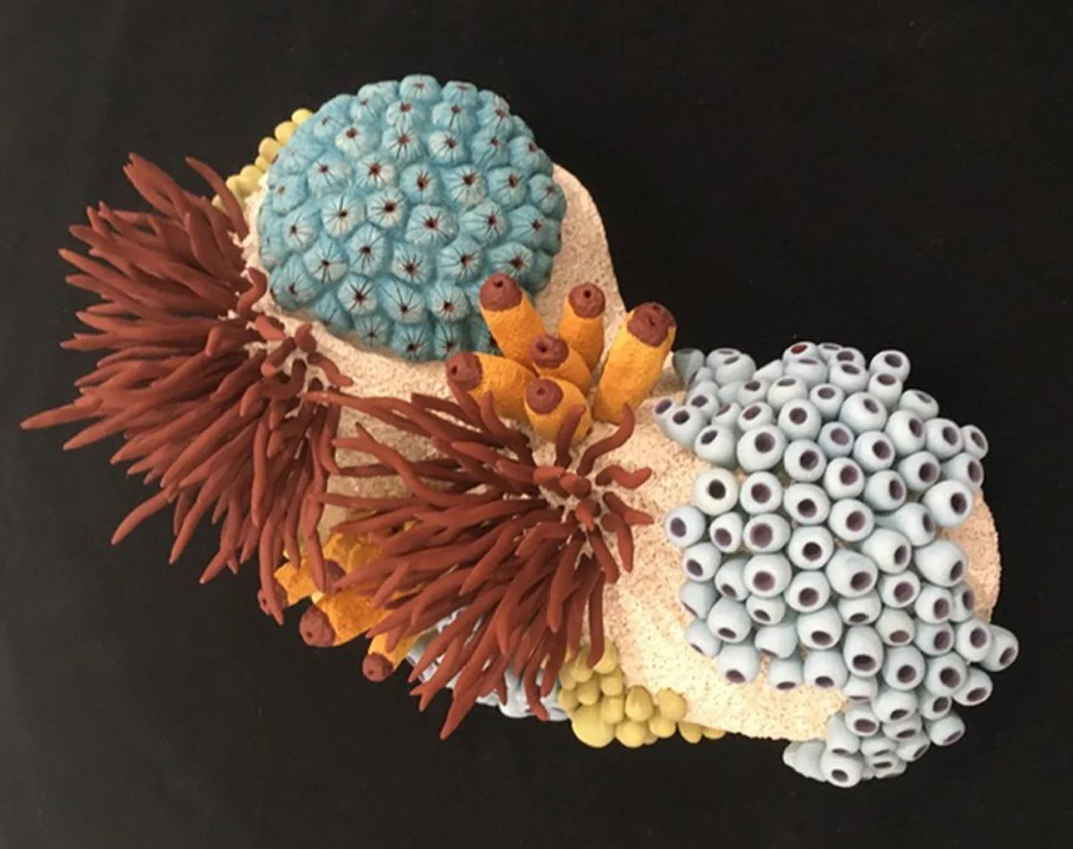 "Coral Reminder 49" 2022, clay, mason stains, matte underglaze (6 x 13 x 9") 