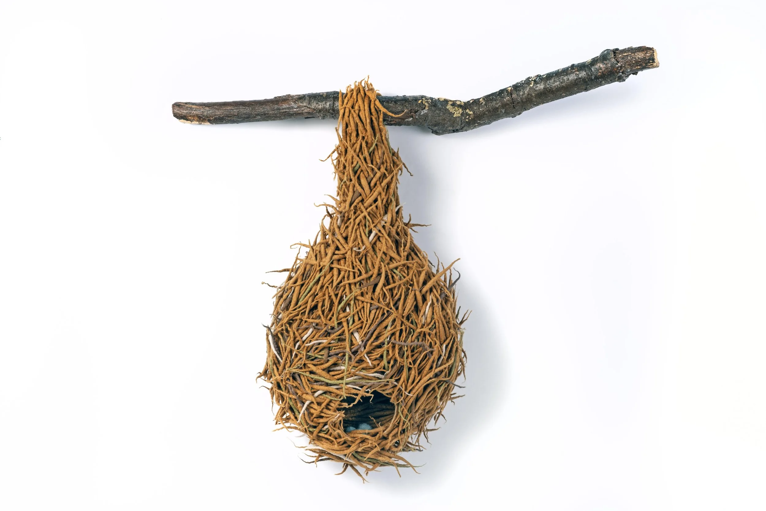 "Weaver's Nest" 2024, wool roving, tree branch, (30 x 25 x 6")  Sold