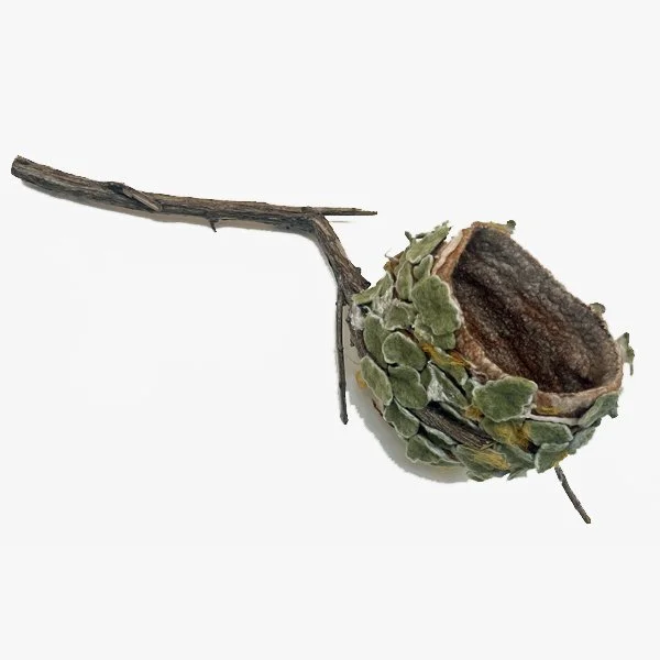 "Hummingbird Nest" 2025, wool roving, silk, viscose, tree branch (8 x 20 x 6")   Sold