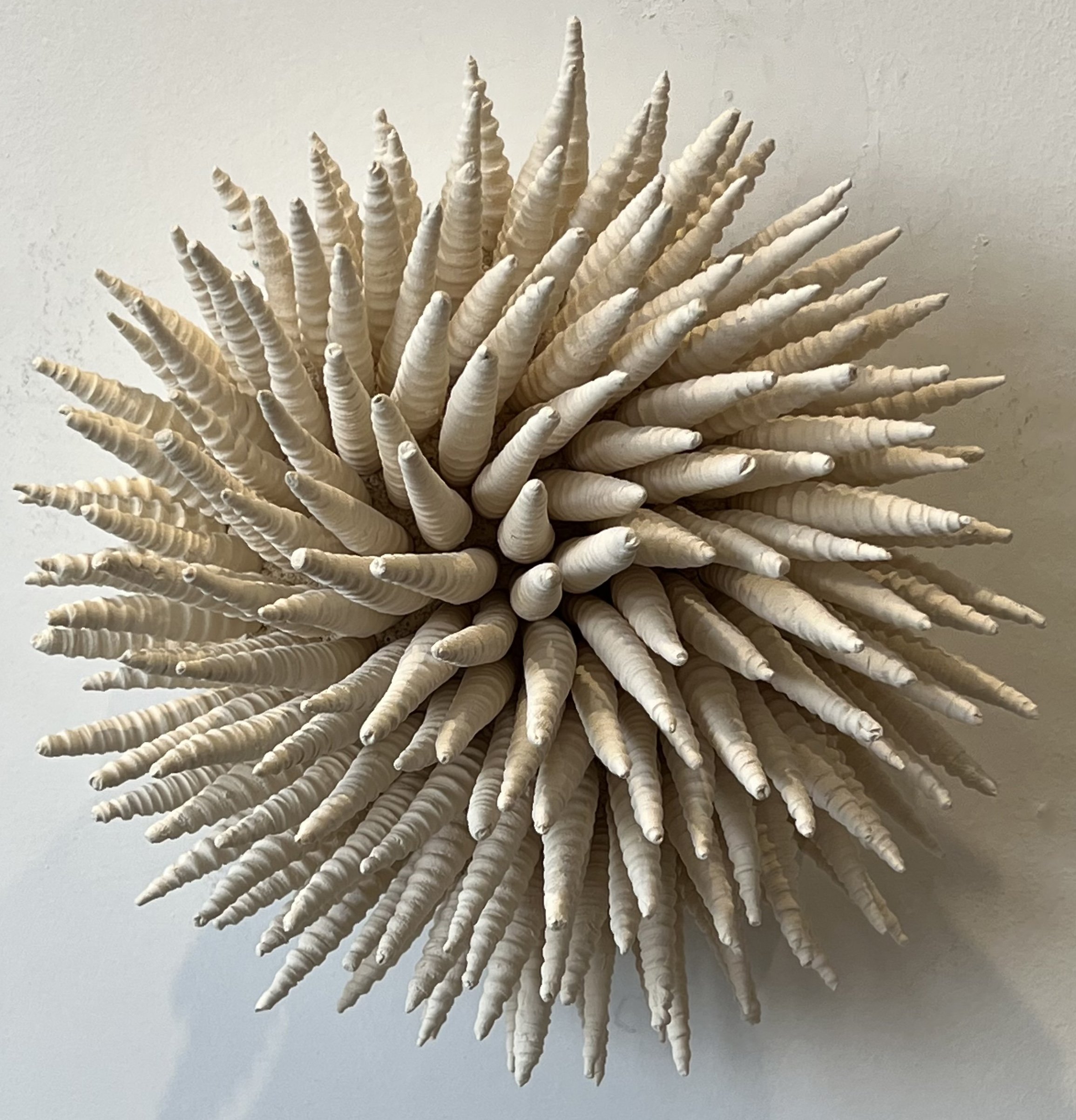 "Coral Reminder 78" 2022, clay (9 x 9 x 5")
