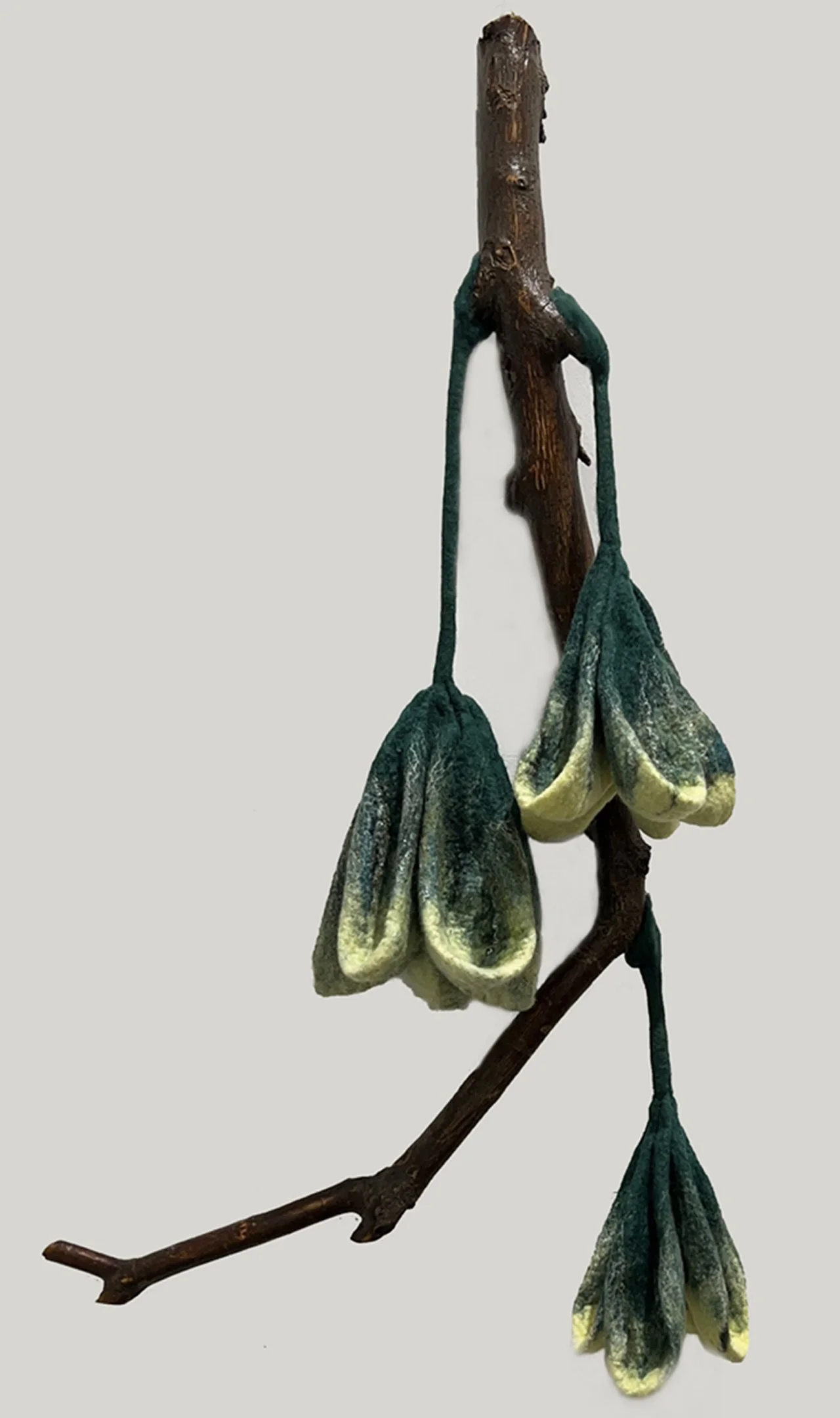 "Pods" 2023, wool roving, tree branch (29 x 17 x 7")