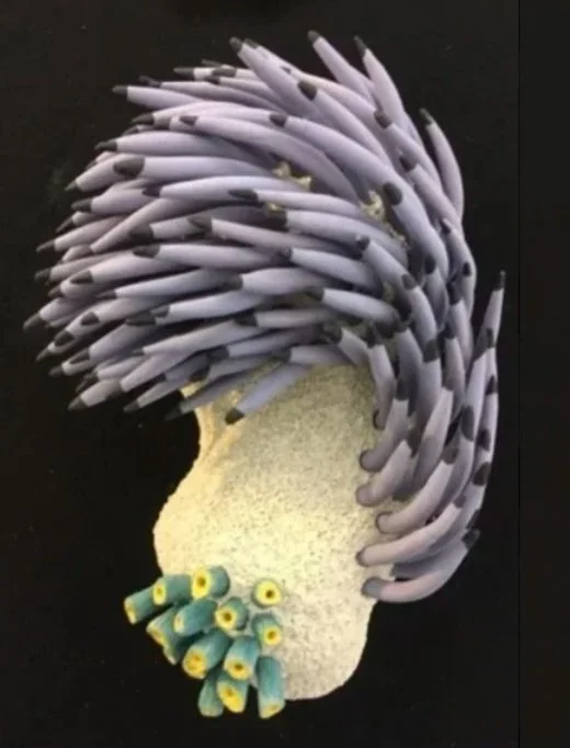 "Coral Reminders 10" 2020, clay, mason stains, matte underglazes (11 x 7 x 5") 