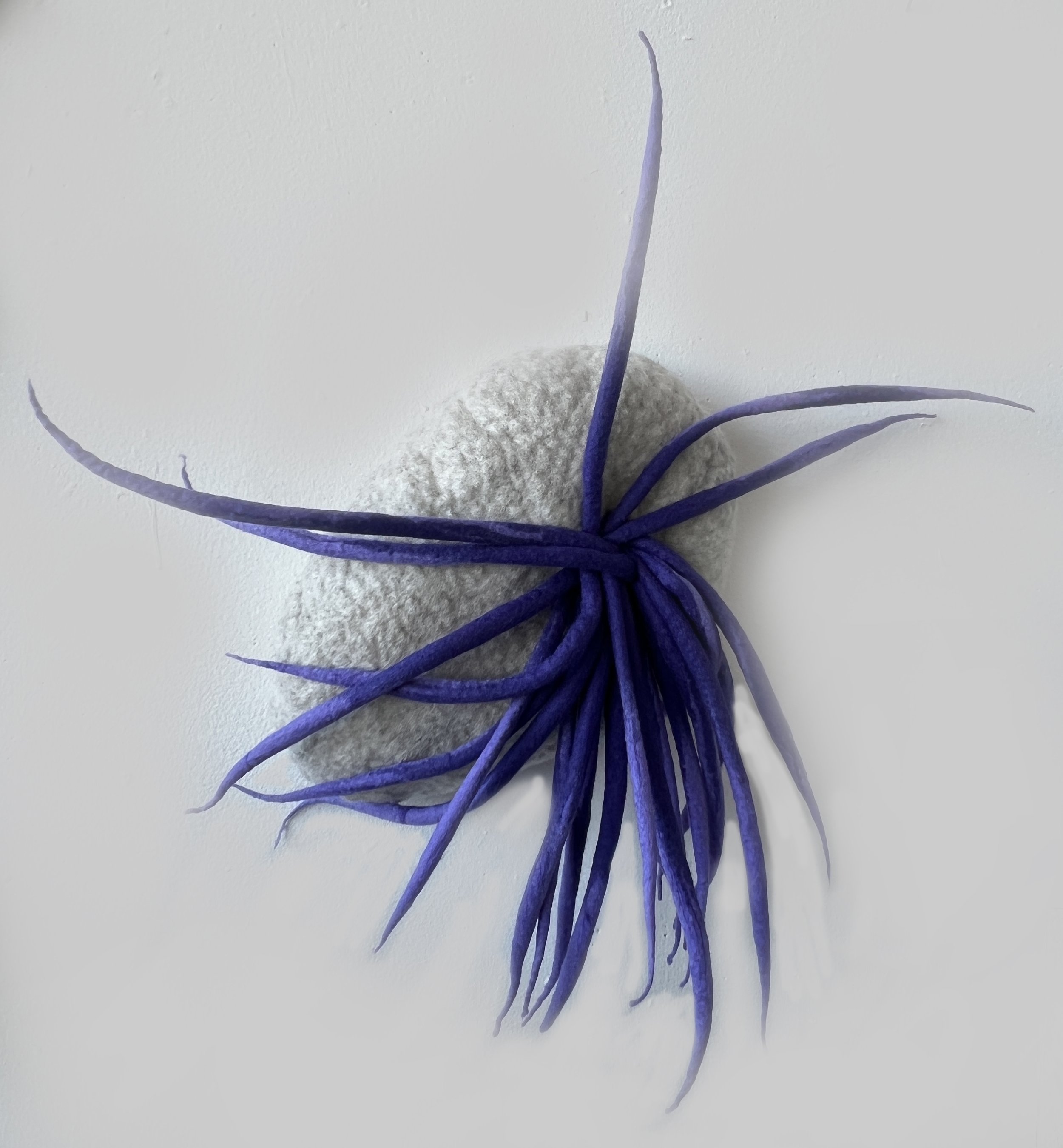 "Bird's Nest 5" 2025, wool roving (19 x 18 x 5")