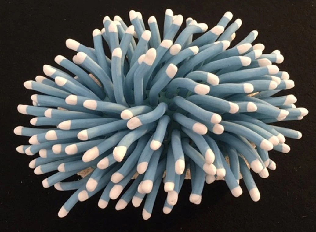  "Coral Reminders 5" 2020, clay, mason stains, matte underglazes (5 x 9 x 7")