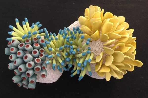 "Coral Reminders 11" 2020, clay, mason stains, matte underglazes (9 x 12 x 5")