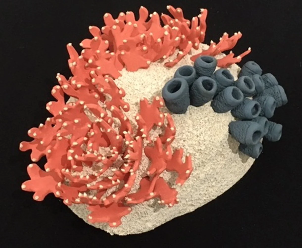 "Coral Reminders 26" 2020, clay, mason stains, matte underglazes (4 x 10 x 9")