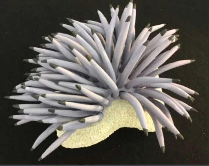  "Coral Reminders 6" 2020, clay, mason stains, matte underglazes (5 x 11 x 9")