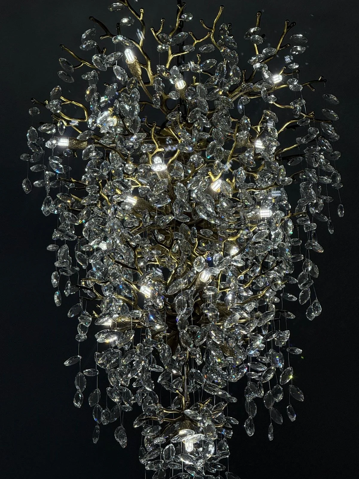 WhatsApp Image 2025-11-10 at 09.24.32_de69192a.jpg