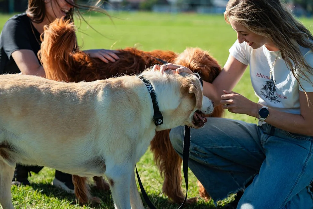 Two women playing with two dogs outdoors on a sunny day; one woman in a white shirt kneeling and petting a dog, the other woman in a black shirt standing next to her and petting a different dog.