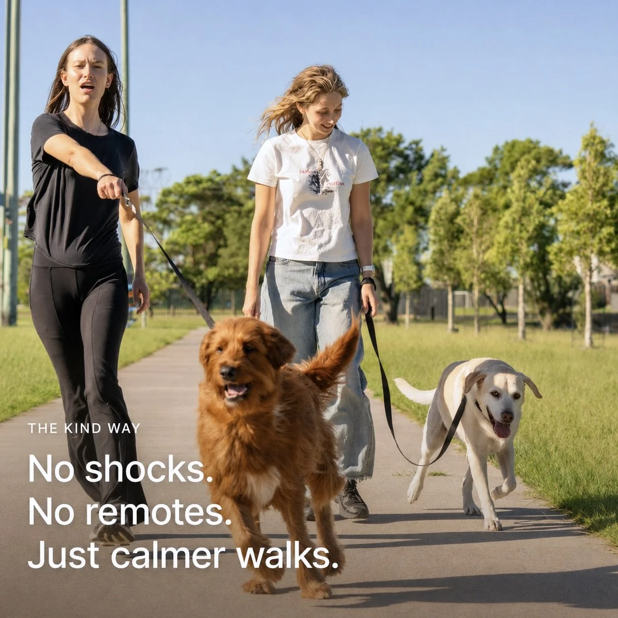 Two women walking dogs in a park on a sunny day. One woman is pointing, and both look relaxed. The park has green grass and trees, with a clear blue sky. Text on the image reads: 'THE KIND WAY. No shocks. No remotes. Just calmer walks.'