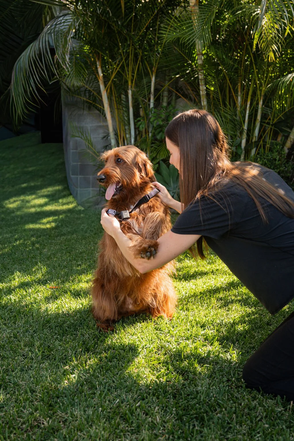 A woman kneeling on grass in a garden, holding a large, brown, long-haired dog with a collar. The dog has its tongue out and appears happy. The garden has lush greenery and tall plants in the background, with sunlight filtering through the leaves.