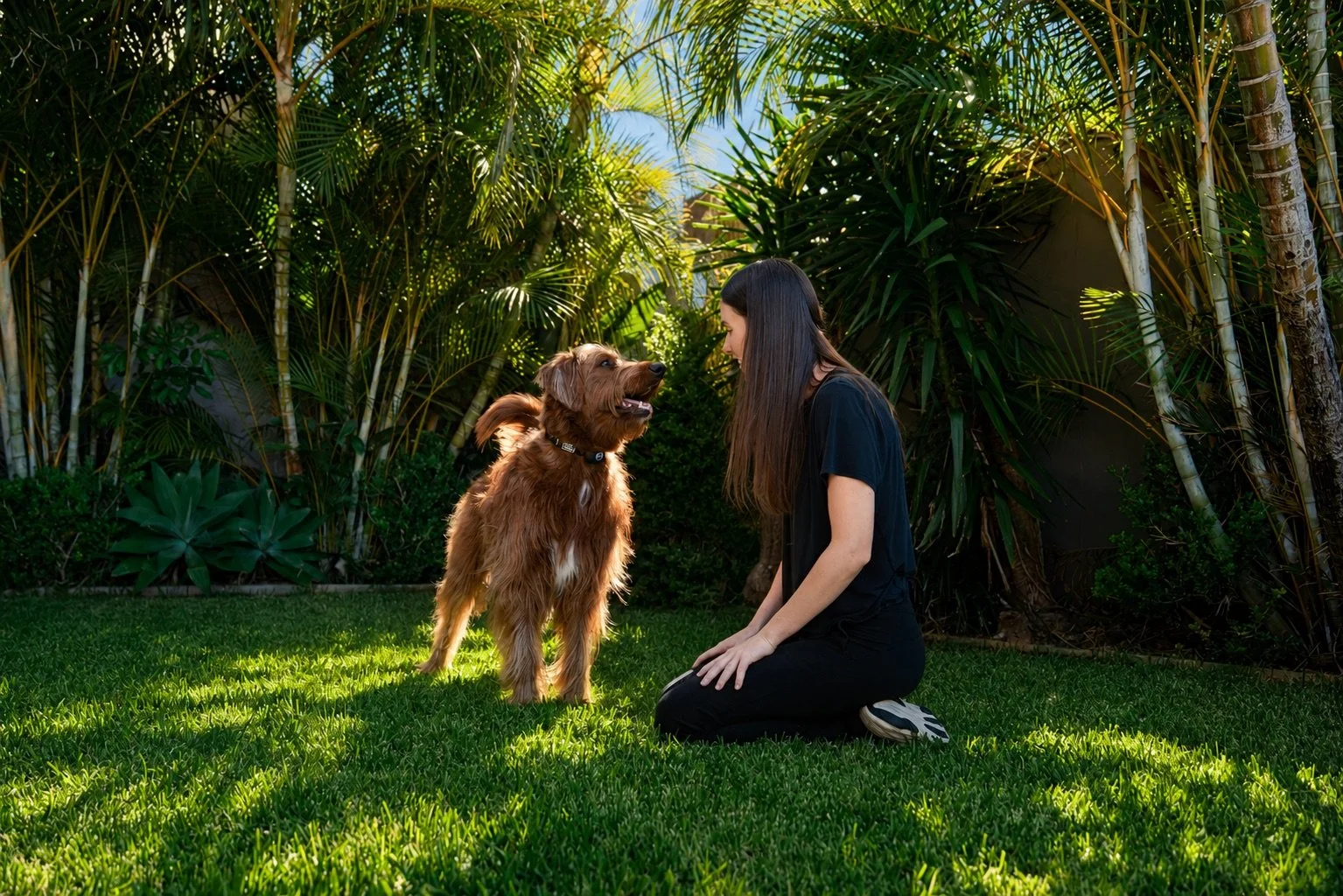 A woman kneeling on grass facing a brown dog in a lush garden with tropical plants.