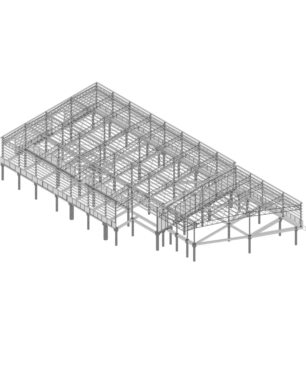3D rendering of a house's steel frame structure with multiple support beams and elevated foundation.