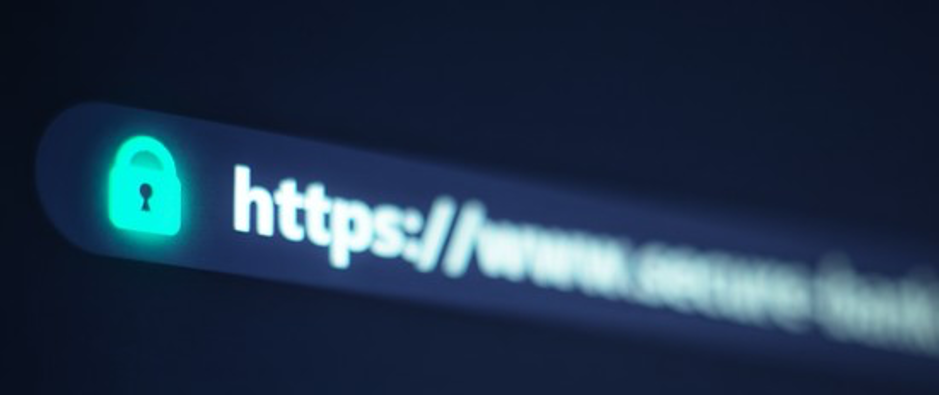 Two Cautionary Tales About Resources Important to Anyone Using a Domain Name or Website