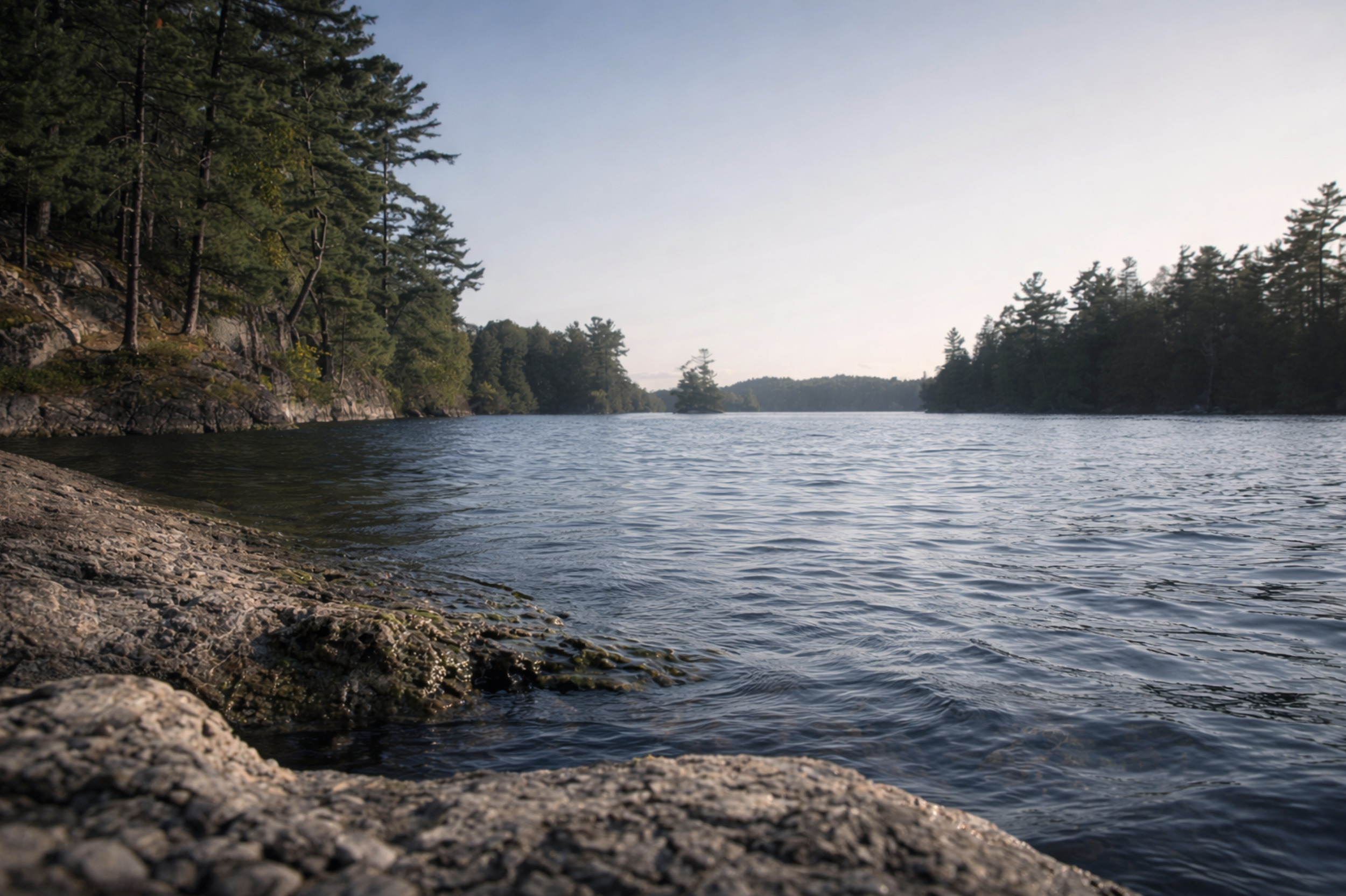 Calm Charleston Lake scene with gentle water and trees representing virtual anxiety therapy in Ontario by Watkins Counselling & Wellness.