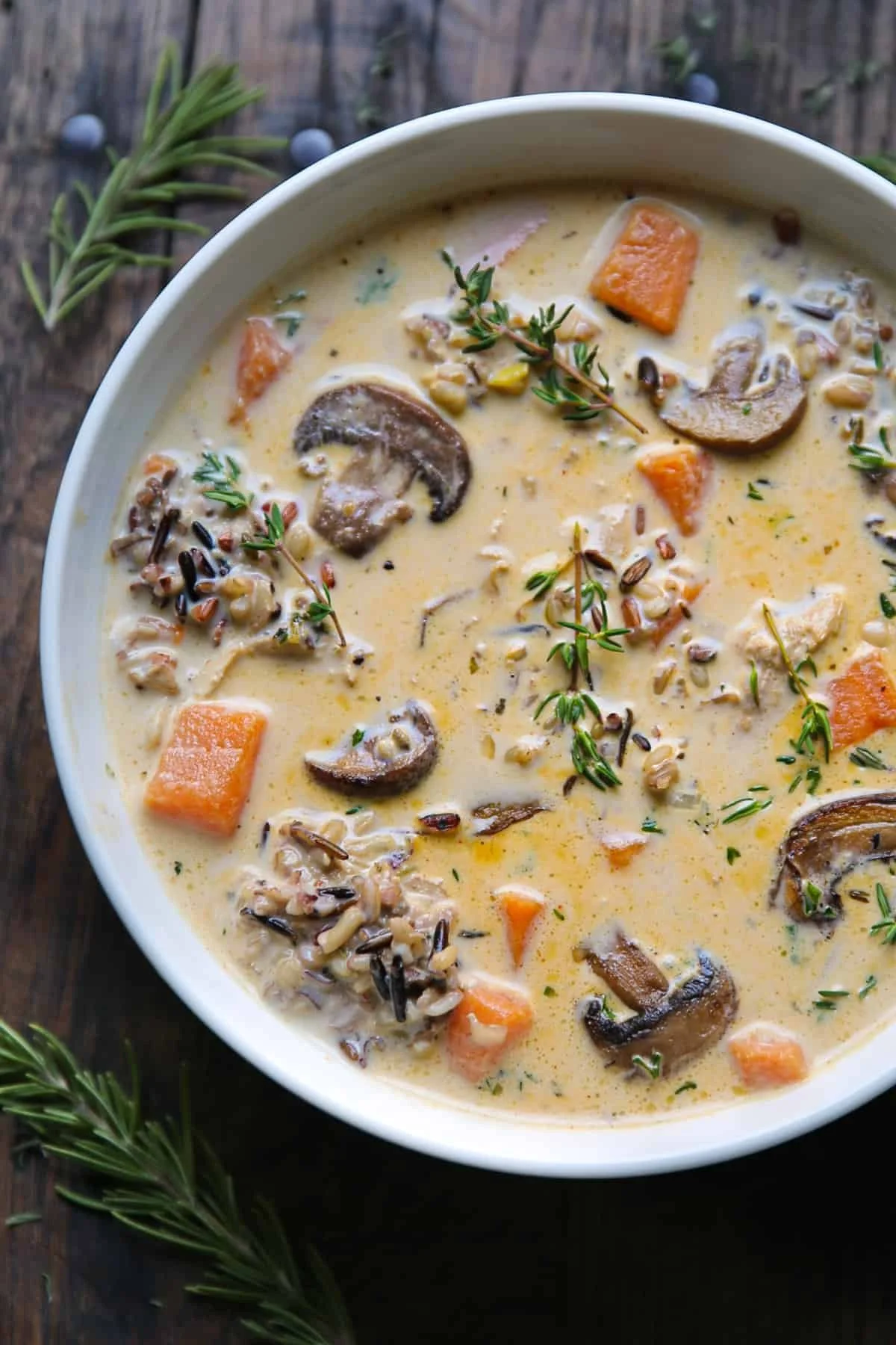 Soup of the Week - Chicken, mushroom, wild rice soup