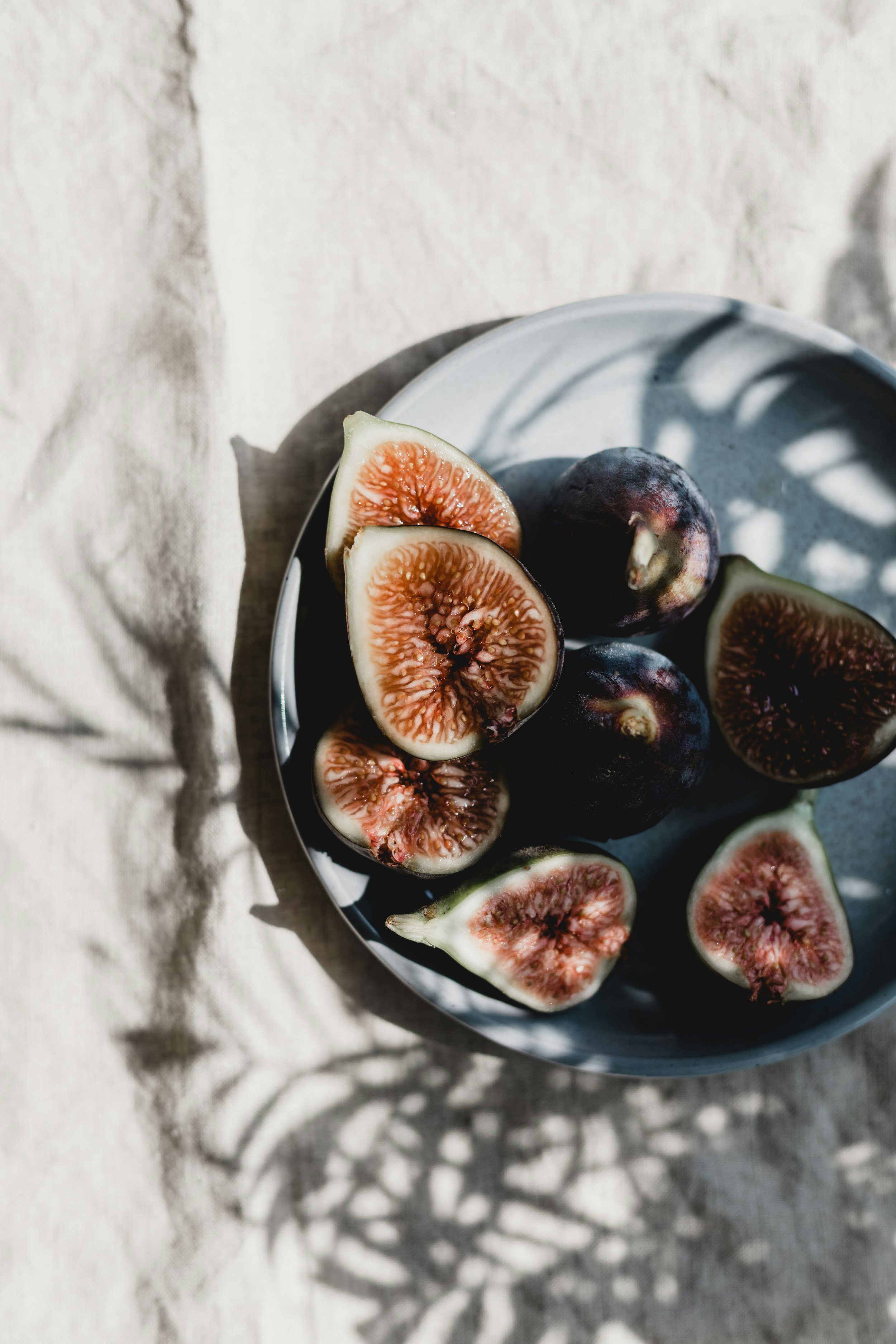 Eating From The Tree… pt. 02