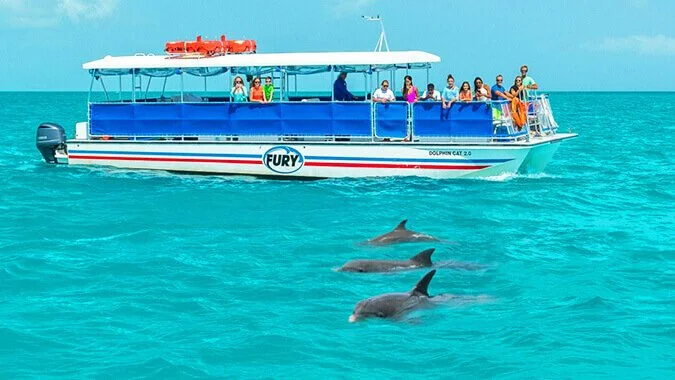 Dolphin & Snorkel Experiences
