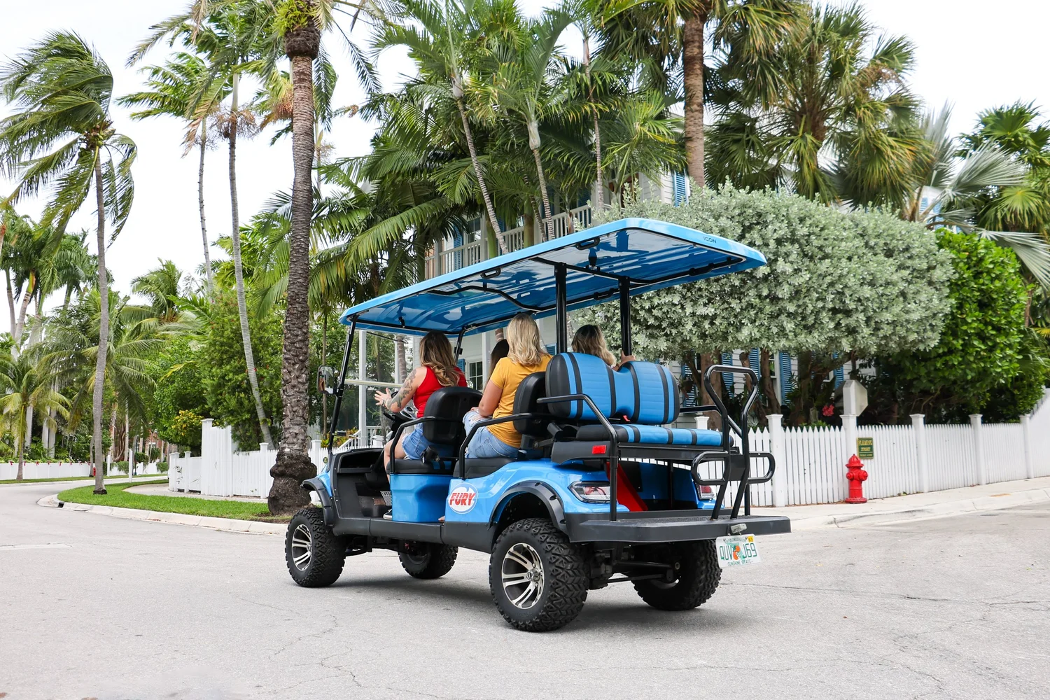 Golf Cart Rentals