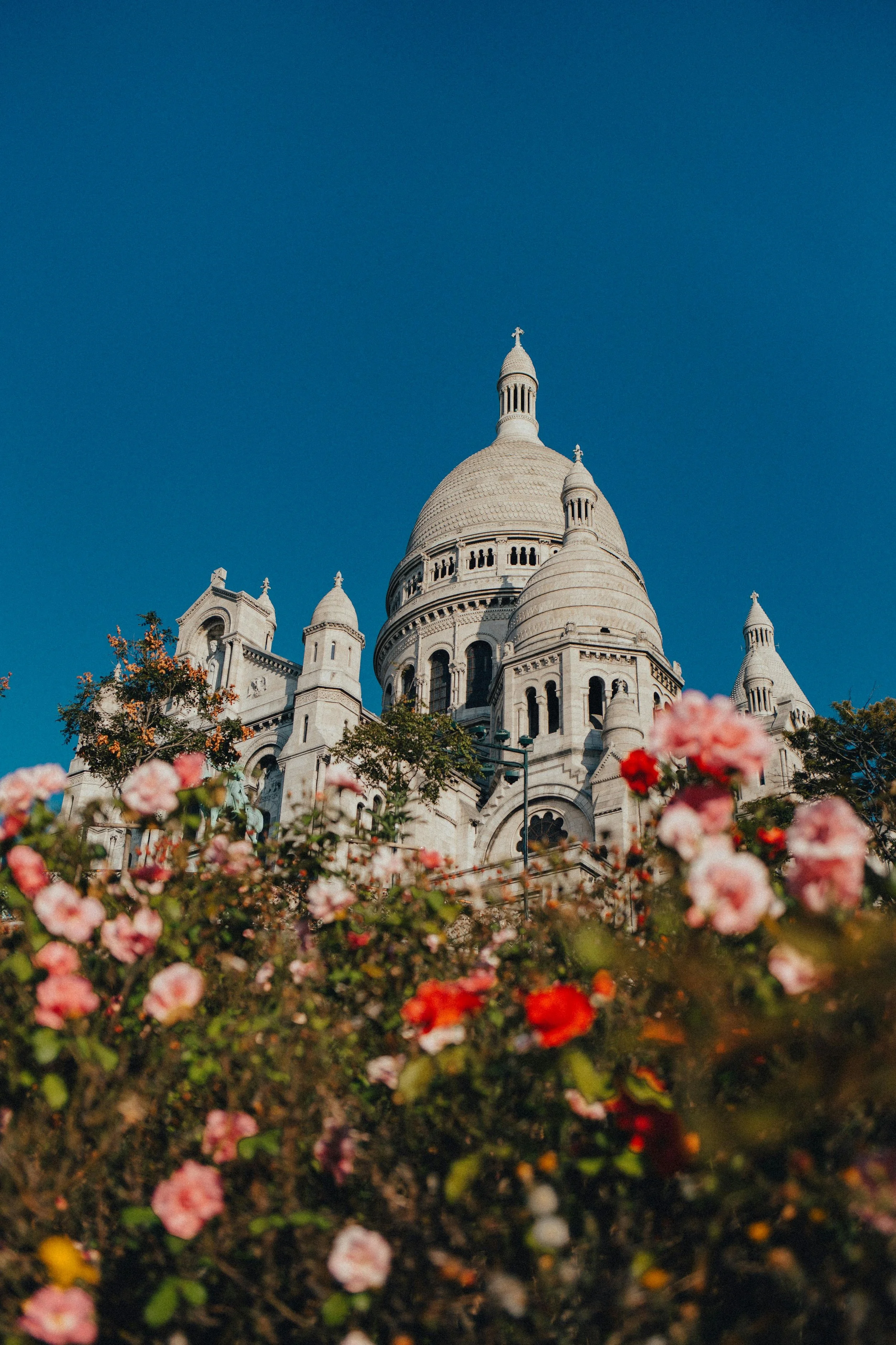 Vue de la basilique du Sacré-Cœur de Montmartre vu depuis le jardin avec des fleurs roses en premier plan.