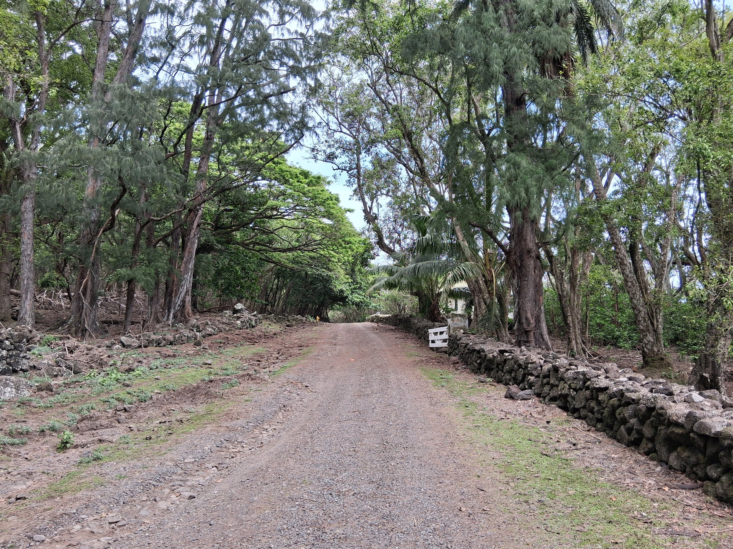 20260419_114339.jpg