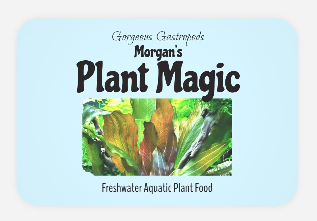 Morgan’s Plant Magic