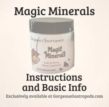 Magic Minerals Information and Instructions