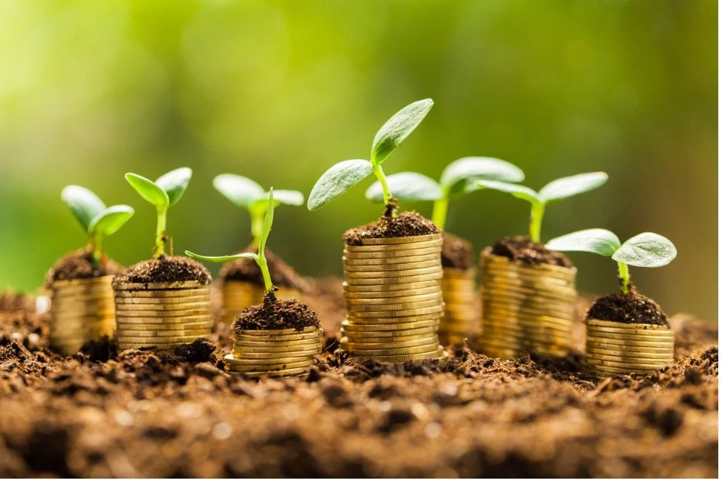 Small green plants growing on stacks of coins in soil, symbolizing financial growth.