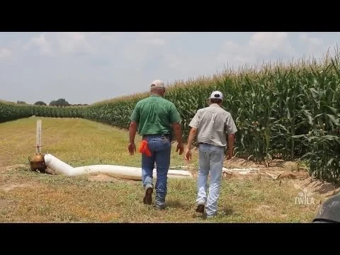 Two men walking through a cornfield, one wearing a green shirt and the other a gray shirt, with a large pipe and farm equipment nearby.
