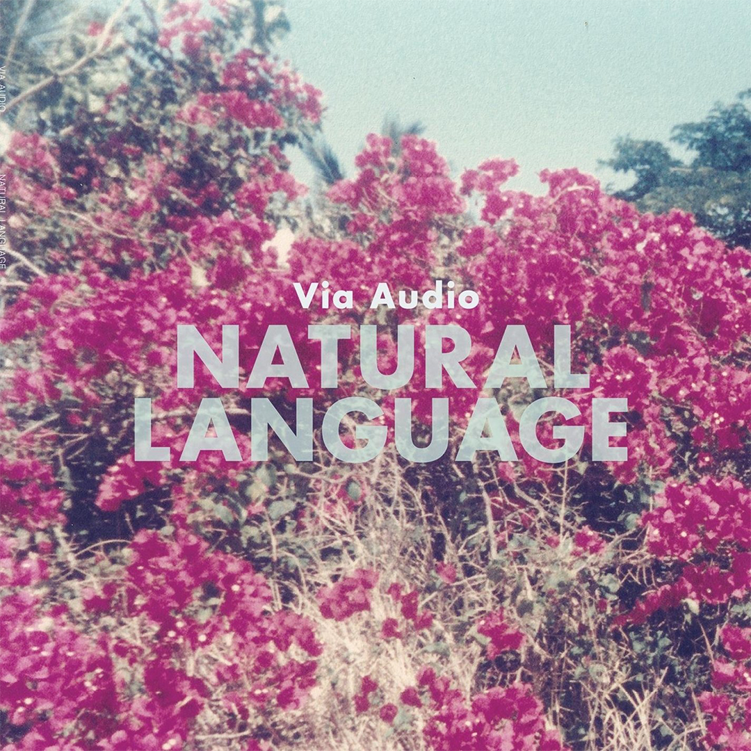 Via Audio - Natural Language Producer + Engineer (Copy)