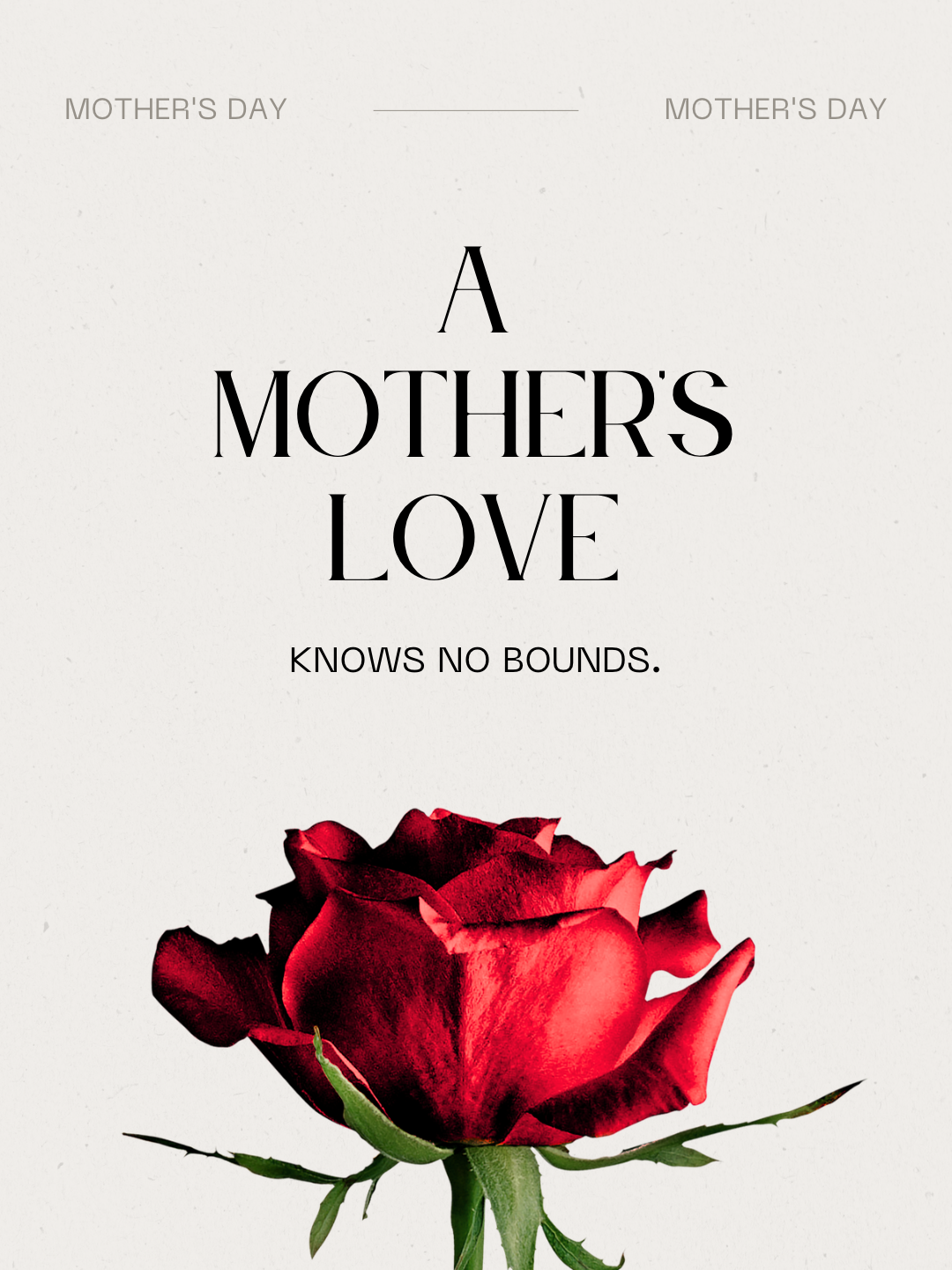 Honoring the Strength, Love, and Heart of Mothers