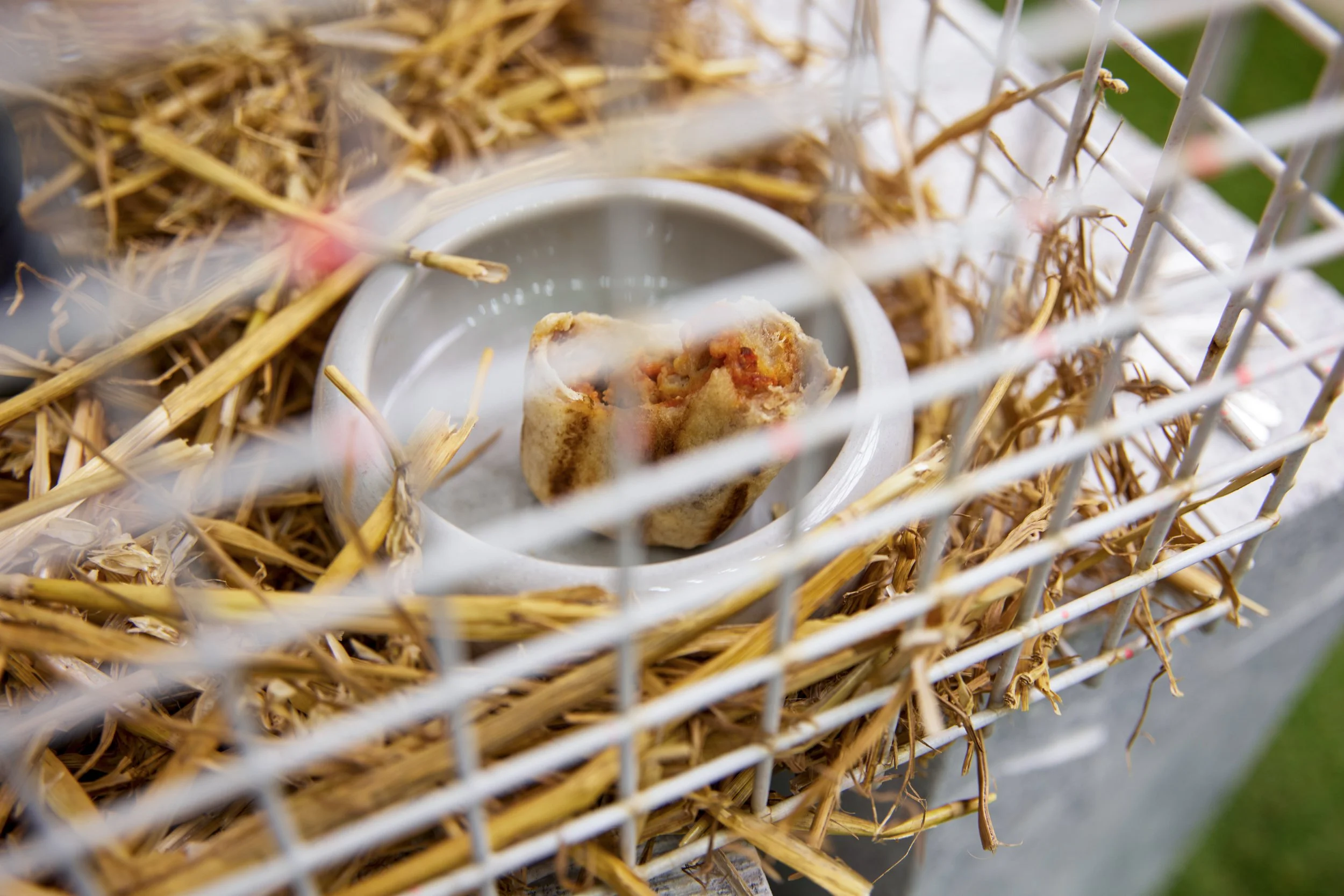 Big Adz – Detail 06-1.jpg