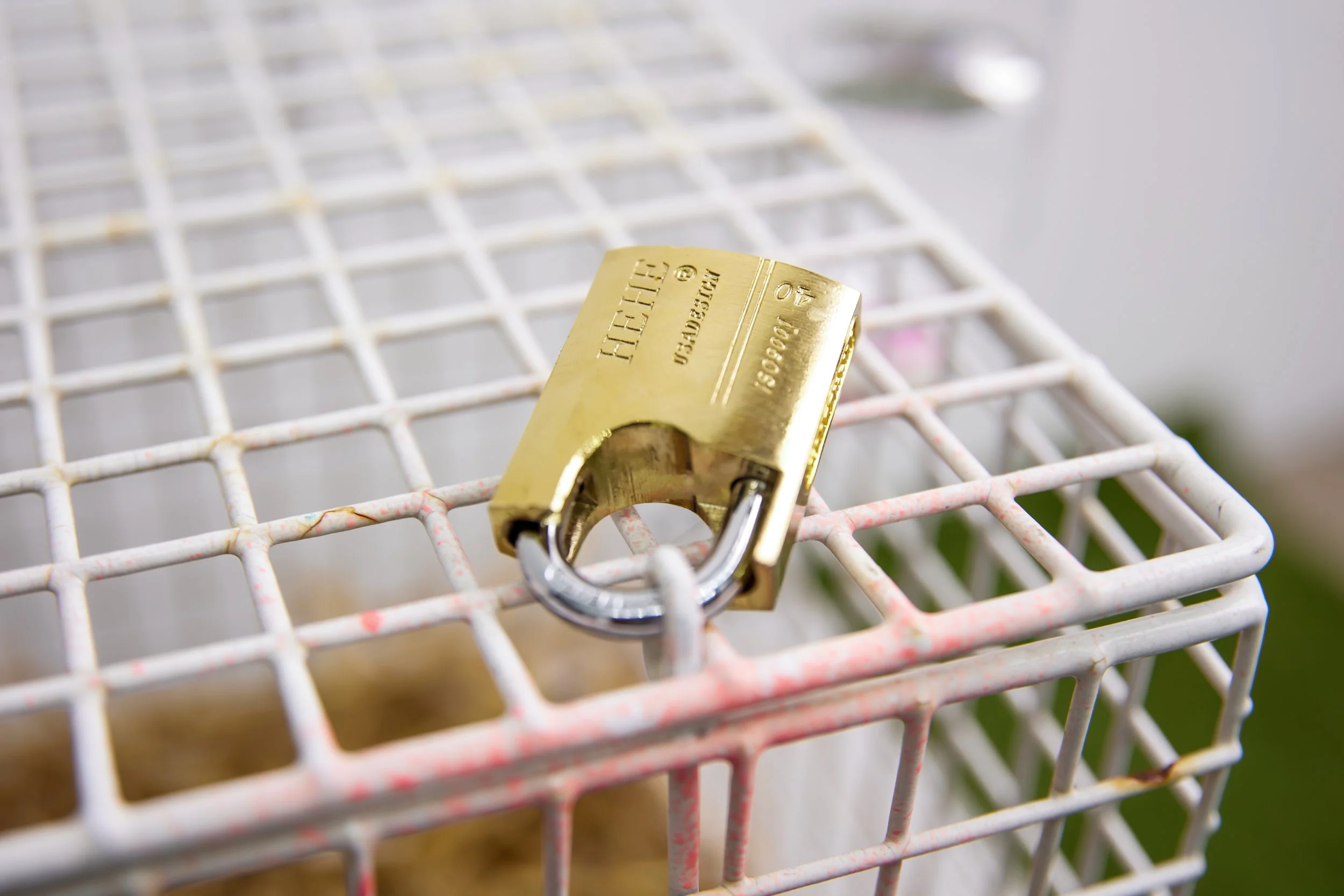 Big Adz – Detail 07-1.jpg