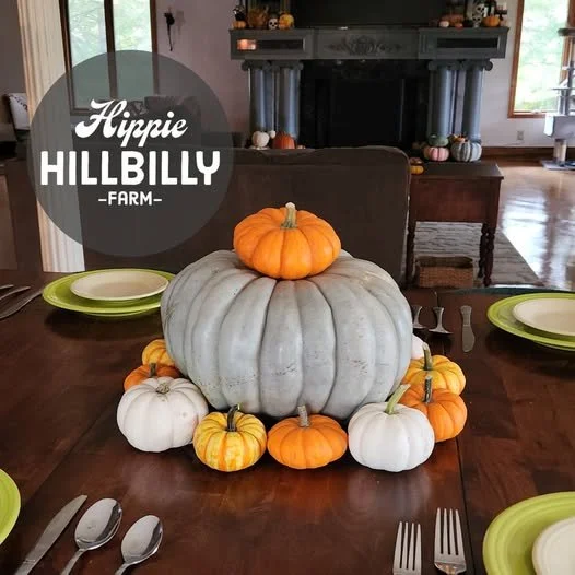 Hippie Hillbilly Farms