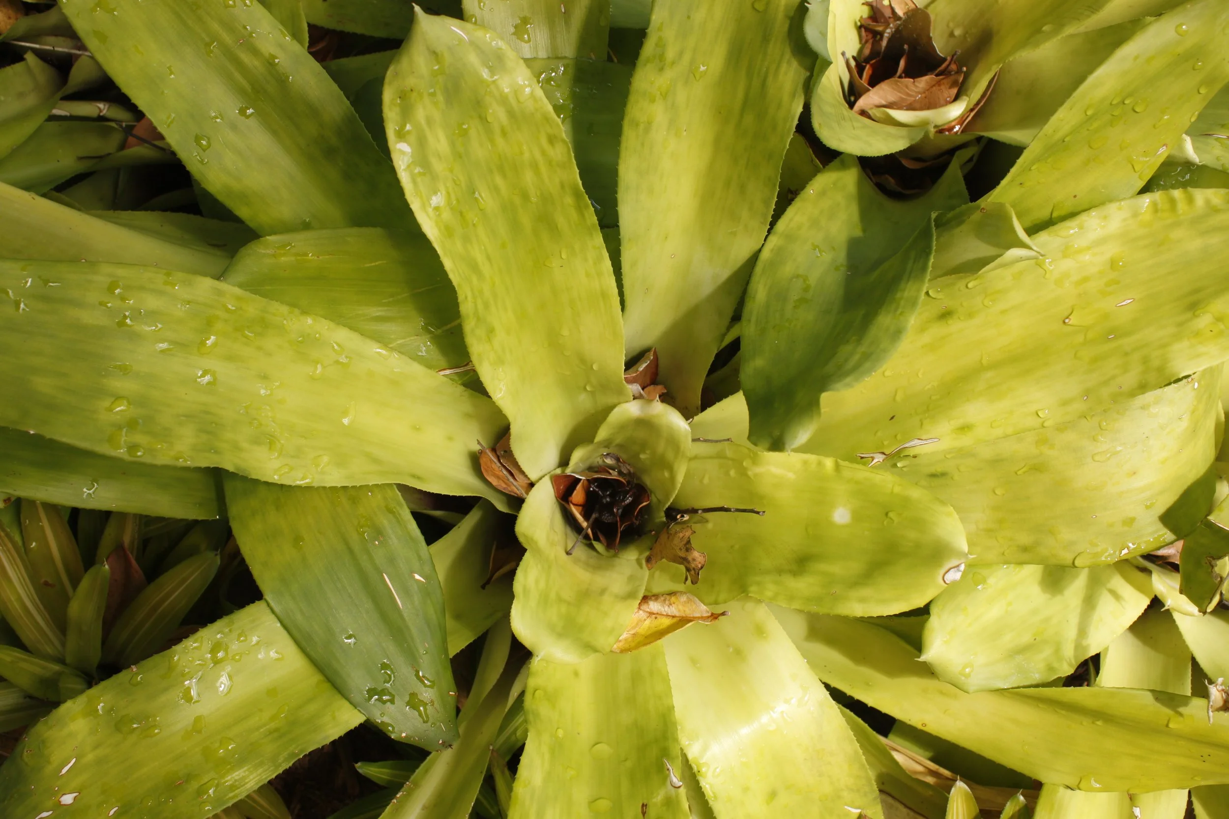 An image of the Float House.