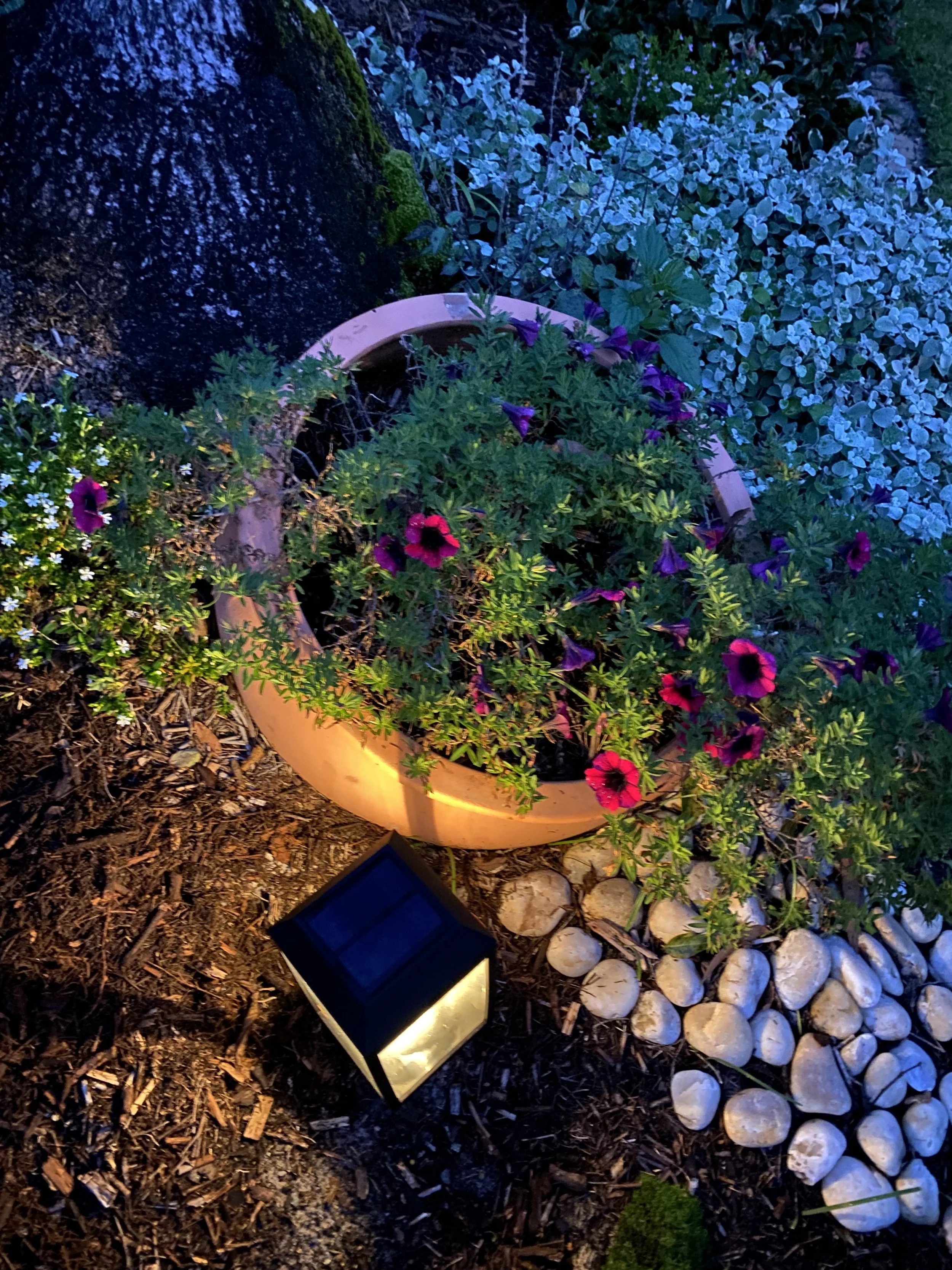 Garden rejuvenation project in Byron Bay featuring subtropical foliage, outdoor seating, and natural stone.