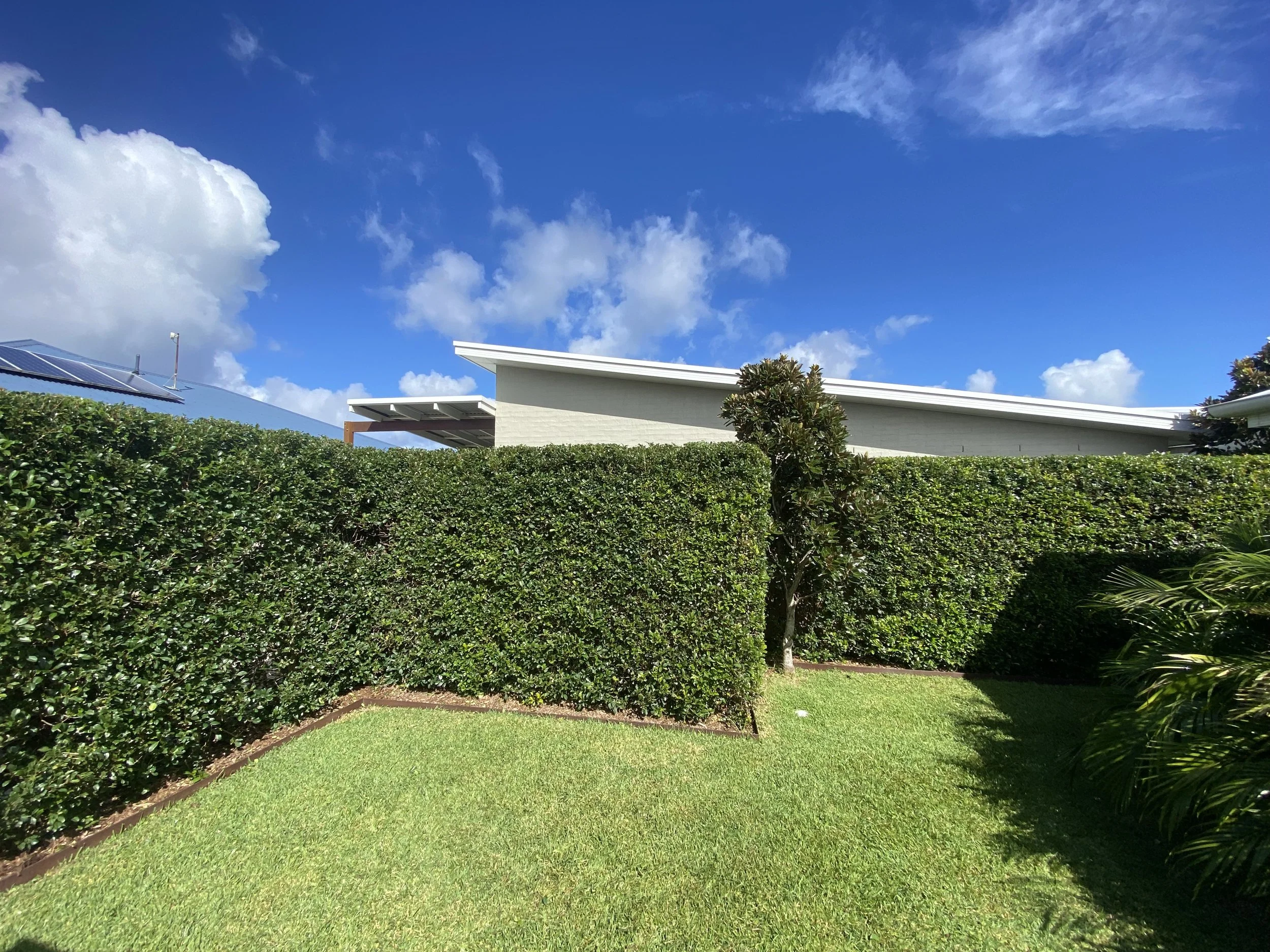 Professional garden maintenance in Lennox Head, including pruning, mulching, and lawn care.