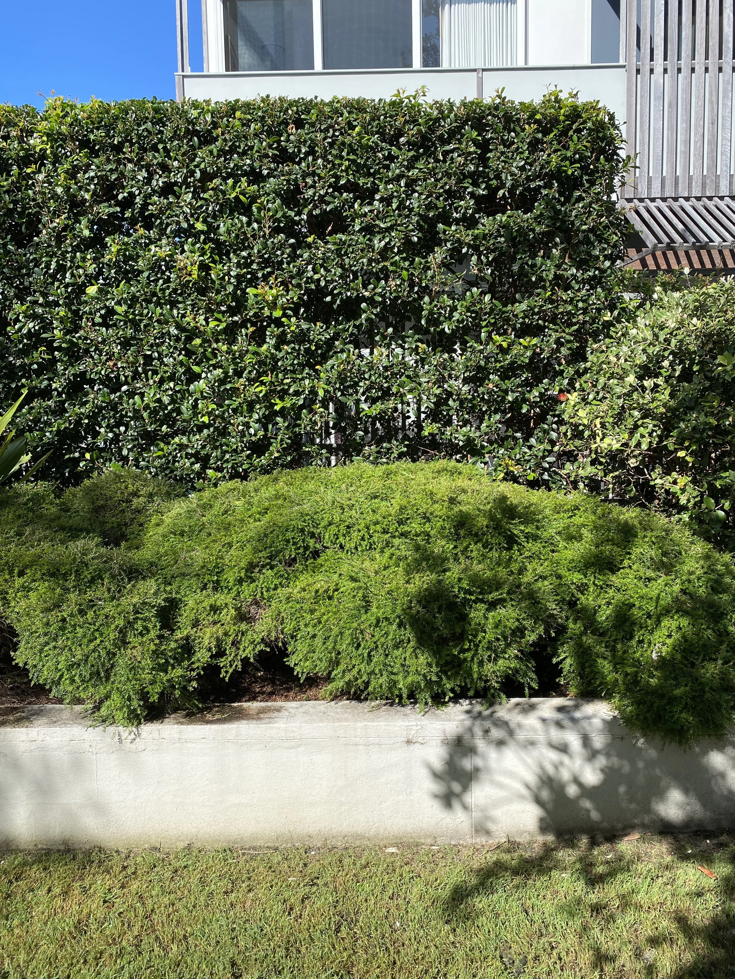Seasonal garden care in Bangalow with organic fertilising, weed control, and plant health checks.