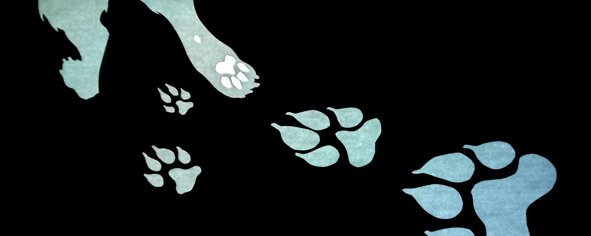 7A_SU2_L8_Banner_JP.jpg