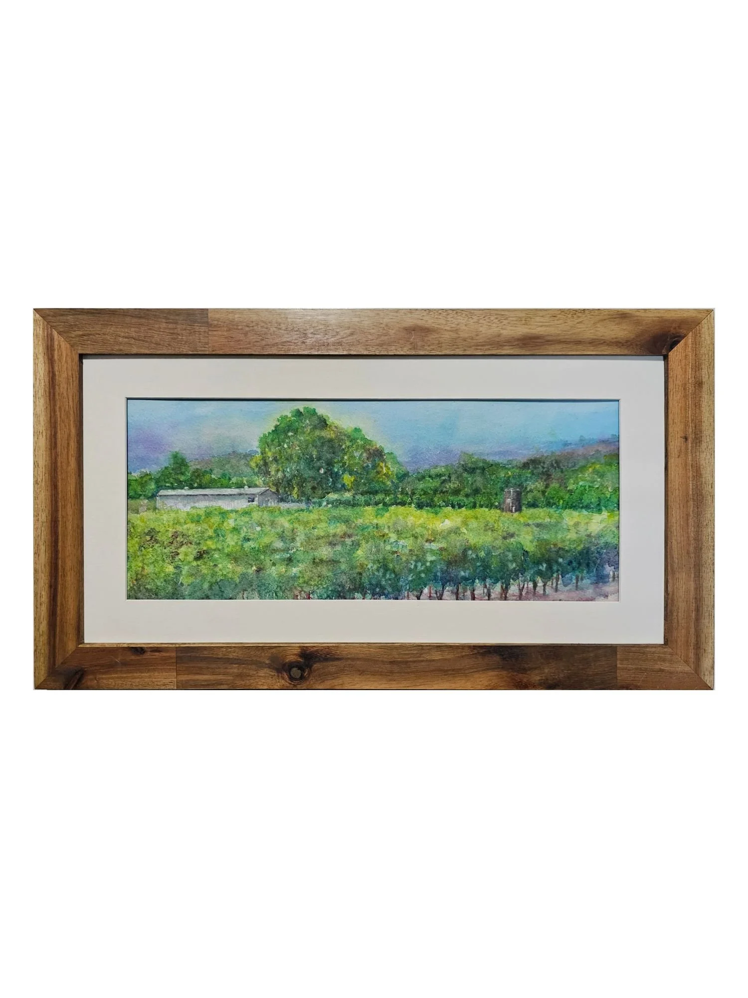Watercolor painting of vineyard and pear orchard in the distance