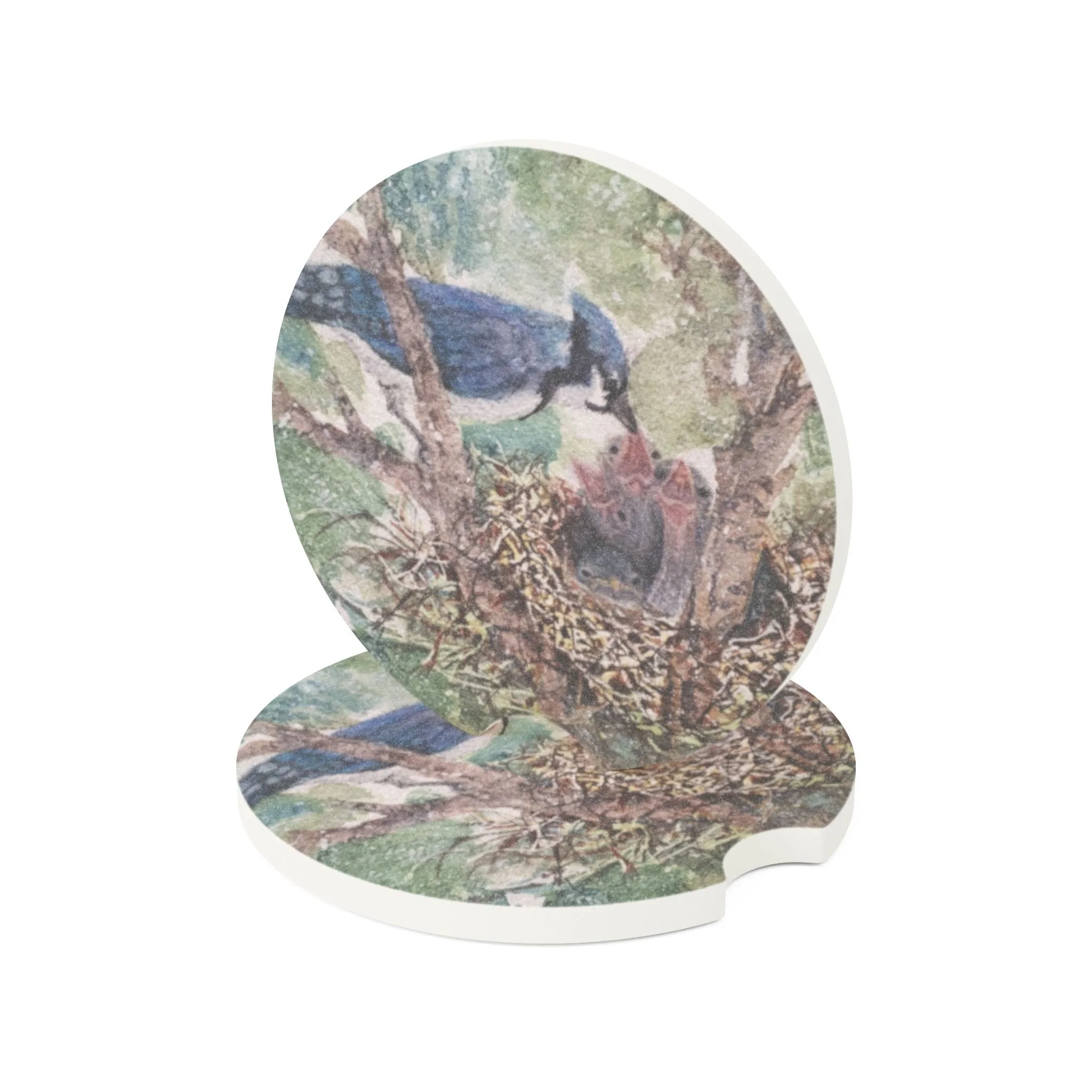 Blue Jay and Hatchlings Car Coaster | Absorbent Soapstone Auto Accessory For Cup Holders | Feeding Time Watercolor Art