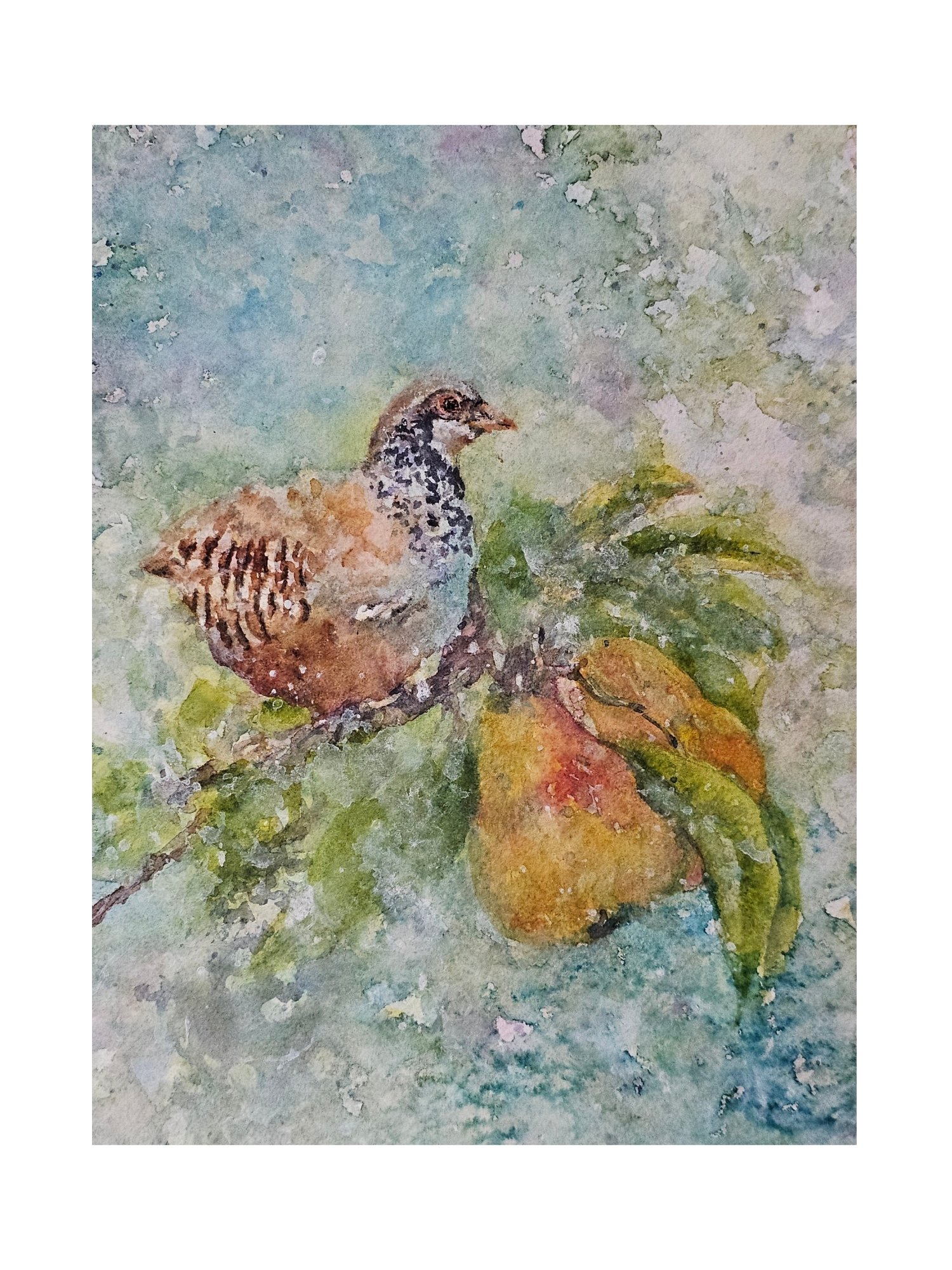 Partridge in a Pear Tree (Print) *Free Shipping*