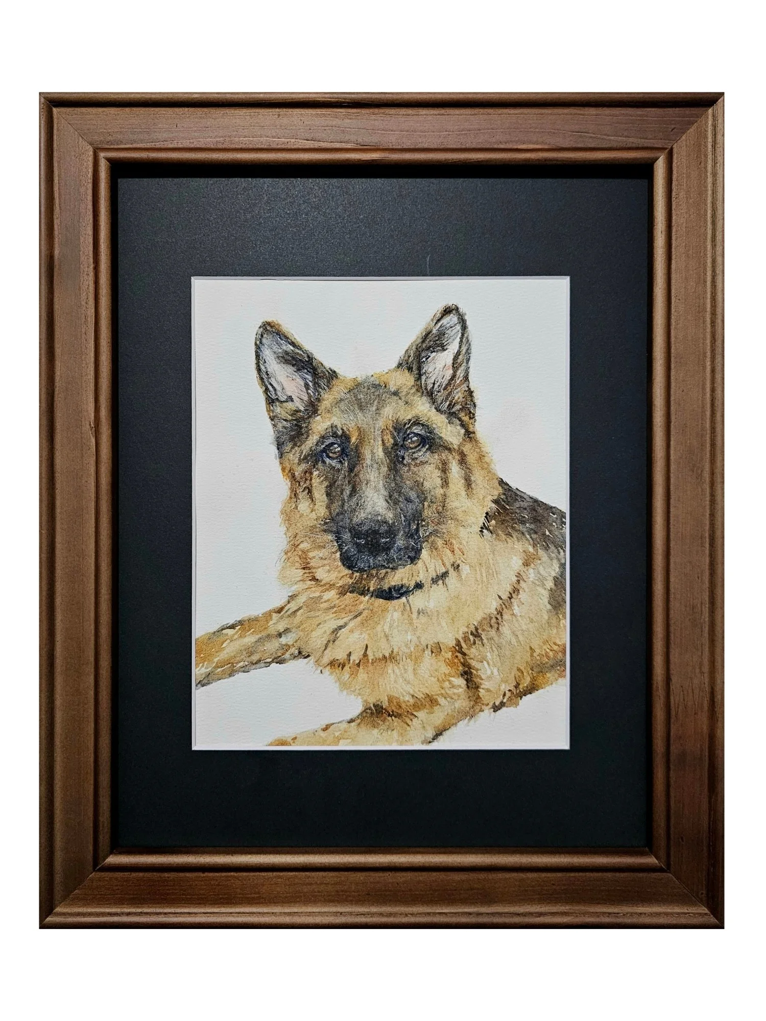 Watercolor German Shepherd 