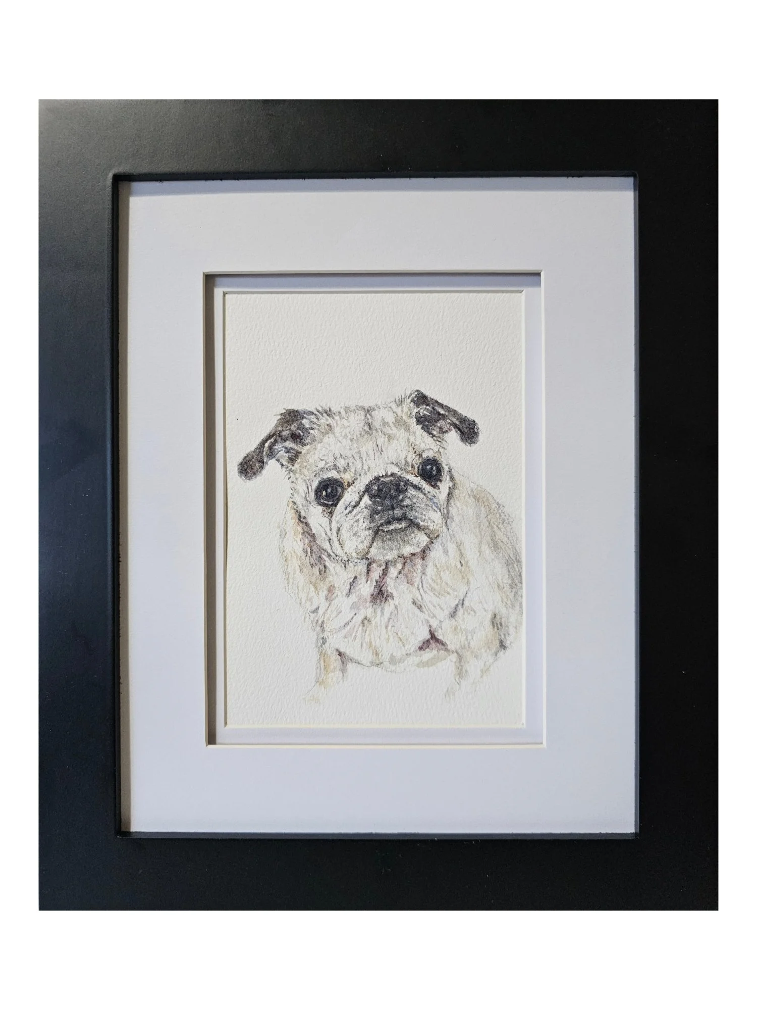 Watercolor art of pug dog