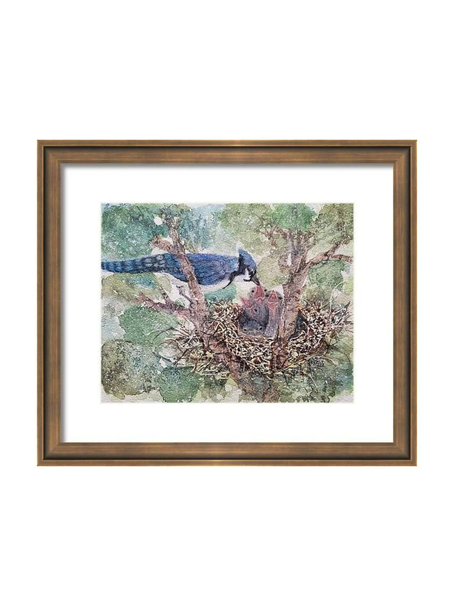 Watercolor painting of a blue jay perched on a tree branch, looking down at a nest with baby birds, hatchlings, surrounded by green leaves.