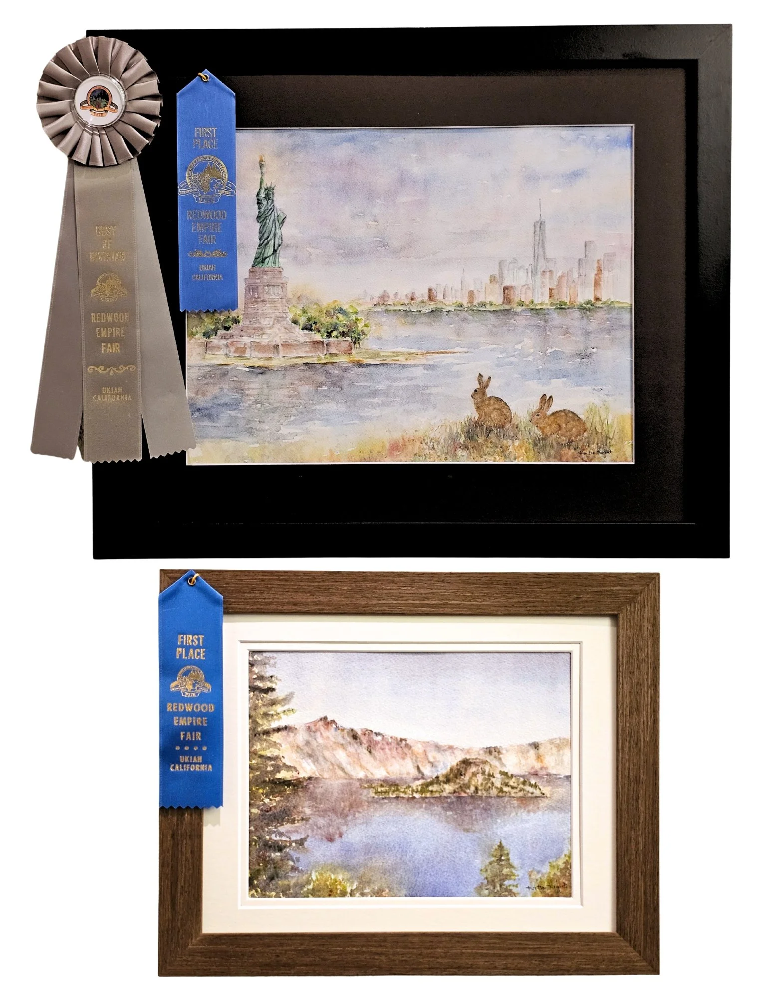 Watercolor art and award ribbons Redwood Empire Fair