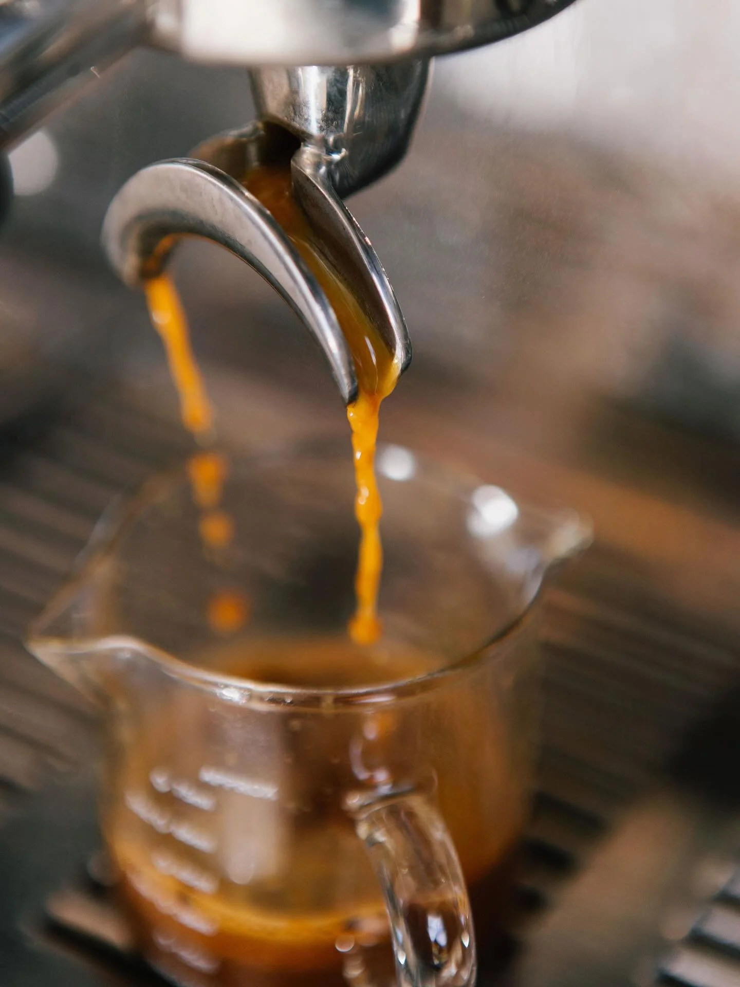 Good morning! Can anyone else not start their day without coffee? Or is it just us? ☕️