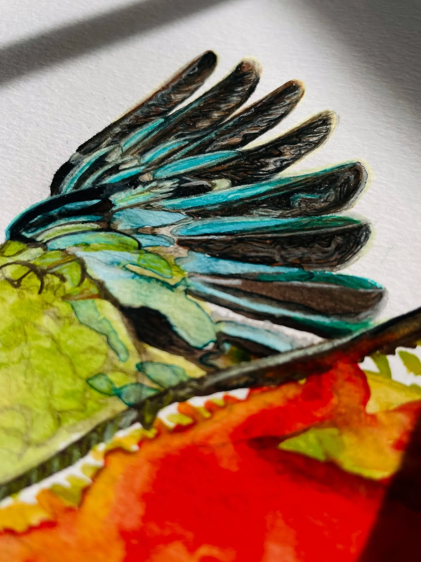 Yet another work in progress 😅

#kea #keawing #onawing #inflight #drawinginprogress #mixedmediadrawing